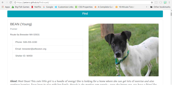 website to help find pets